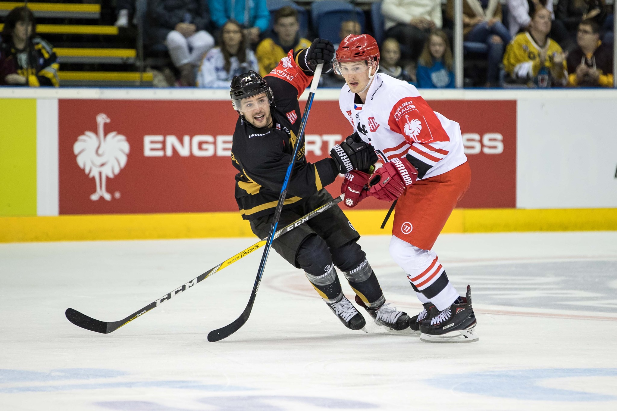 ⏪ REWIND ⏪ On this day in 2017... - The Nottingham Panthers