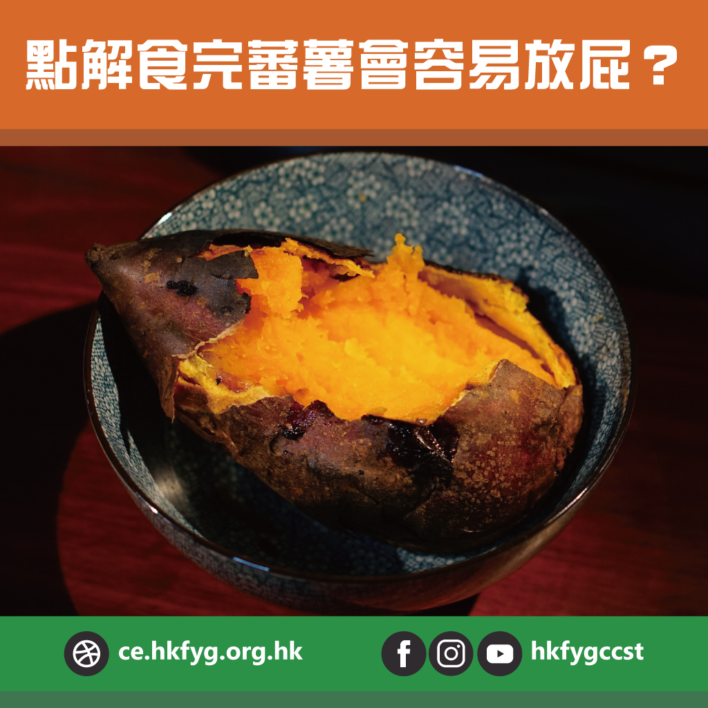 香港青年協會創新科學中心 - [點解食完蕃薯會容易放屁？] #蕃薯 🍠可以話係近年熱捧嘅減肥恩物，不過大家有冇發現每次食完蕃薯之後都會肚脹脹 ...