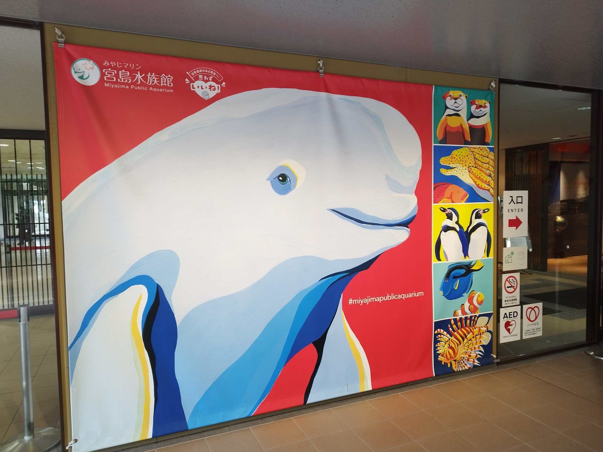 Lot 揺るぎなく GM-01xx 】大分県から全国へ♬ 大分うまれのペンギン 