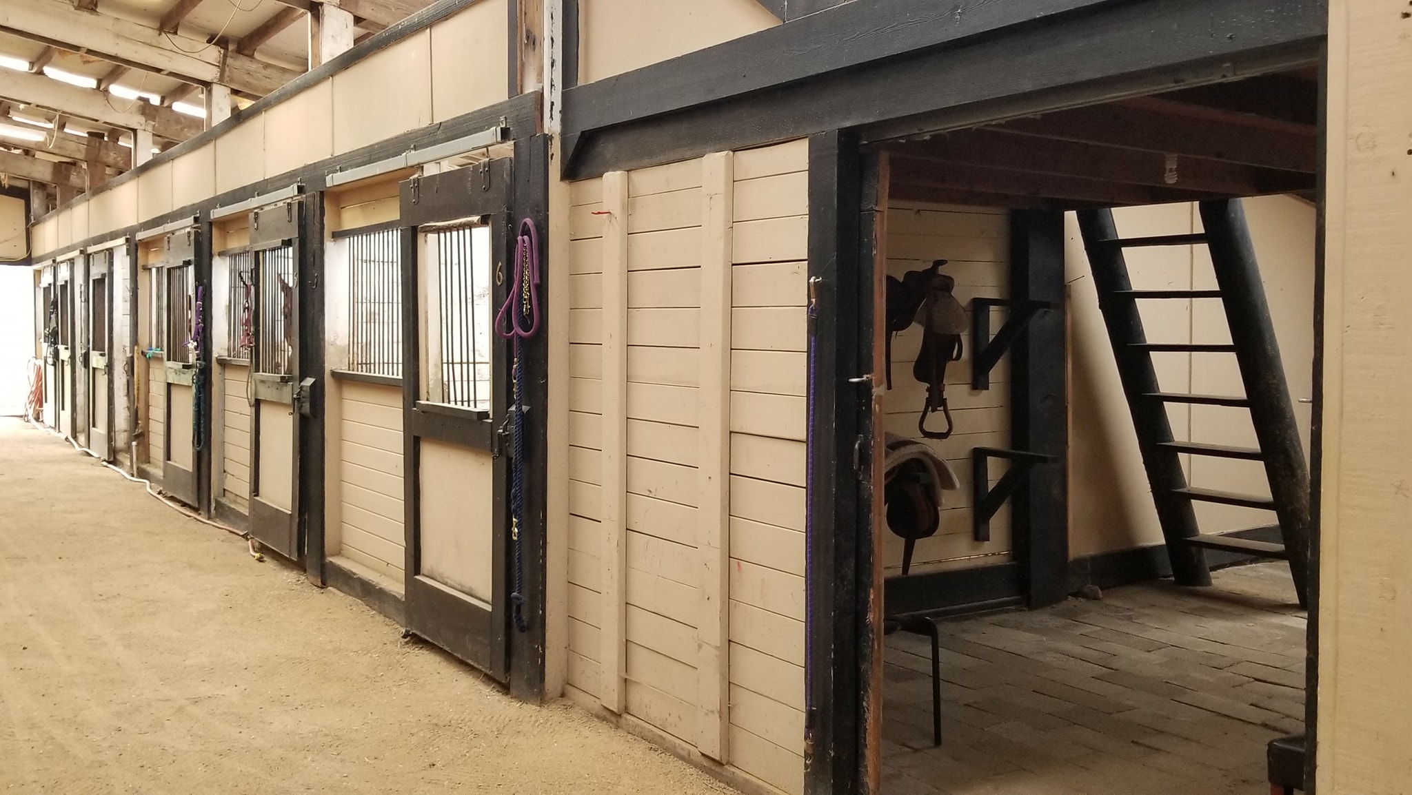Rainbow Ridge Boarding Facility | Monroe WA
