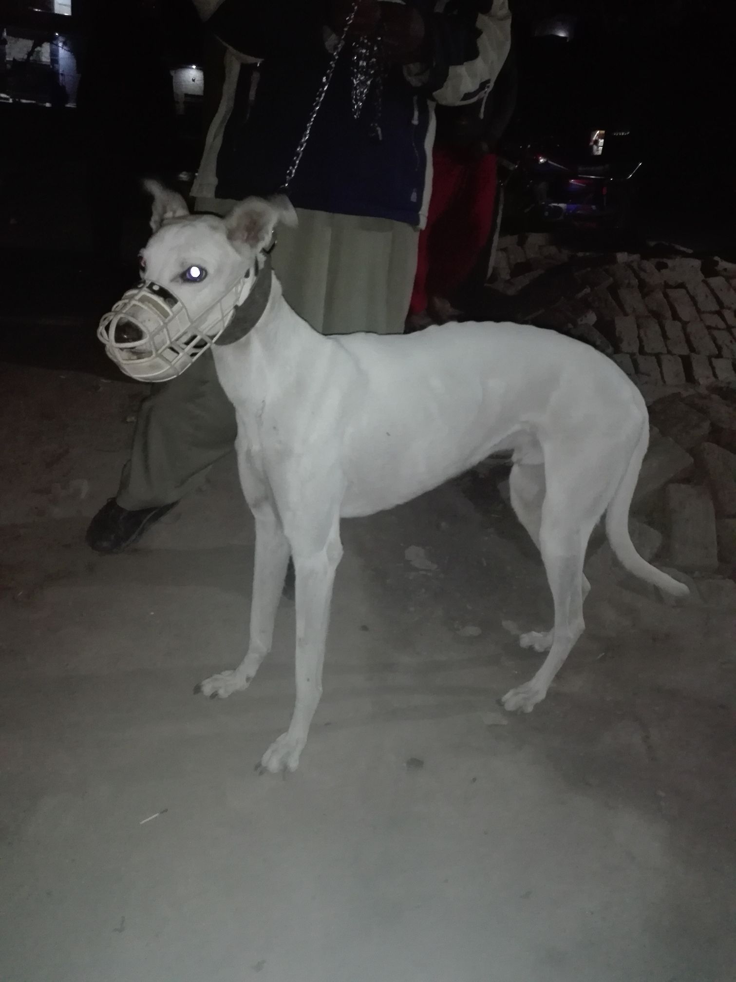 Rafay RajPoot Hunting Club Sargodha