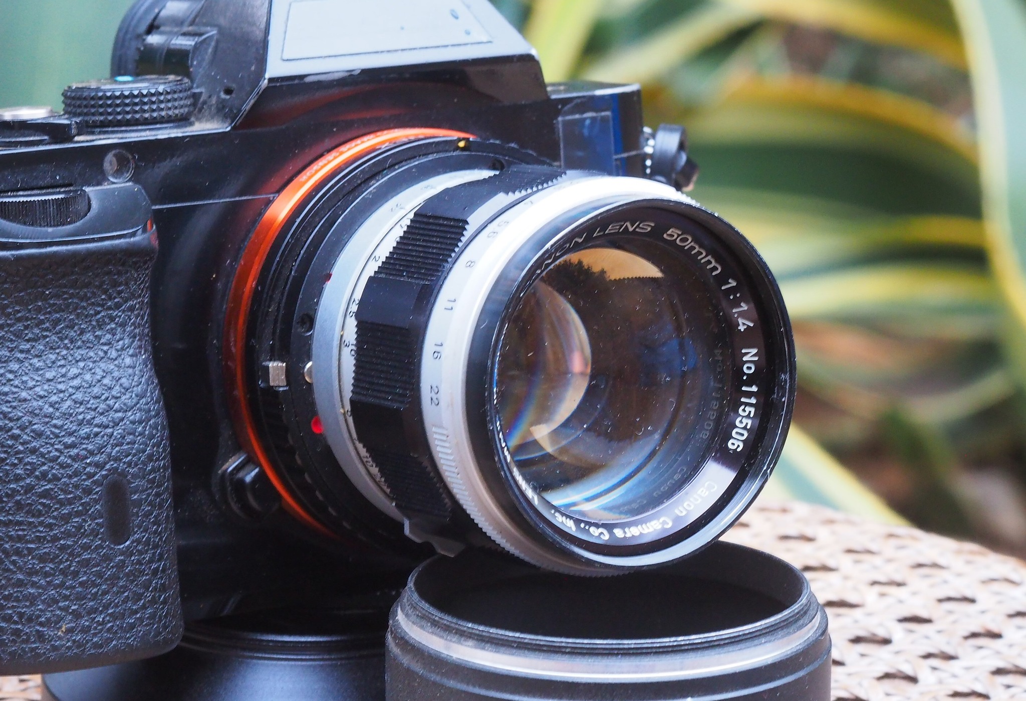Meet the Beast, the Steinheil Munchen Cassarit 45mm f/2.8, a lens