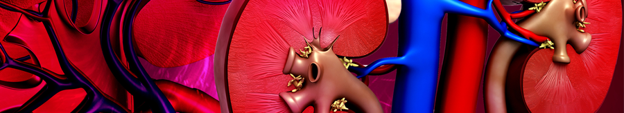 International Journal of Clinical & Medical Images - Webino Syndrome ...