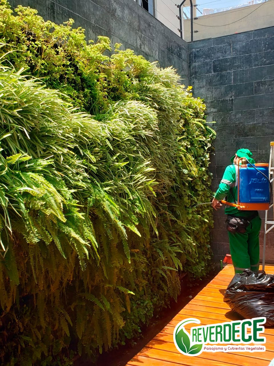 Arquiproductos - Reverdece Perú - Mantenimiento a nuestros...