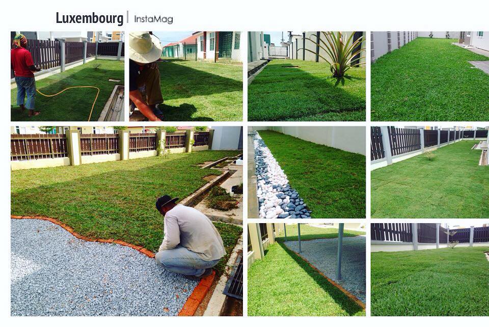 Pakar Tanam Rumput Karpet Melaka 照片 Facebook