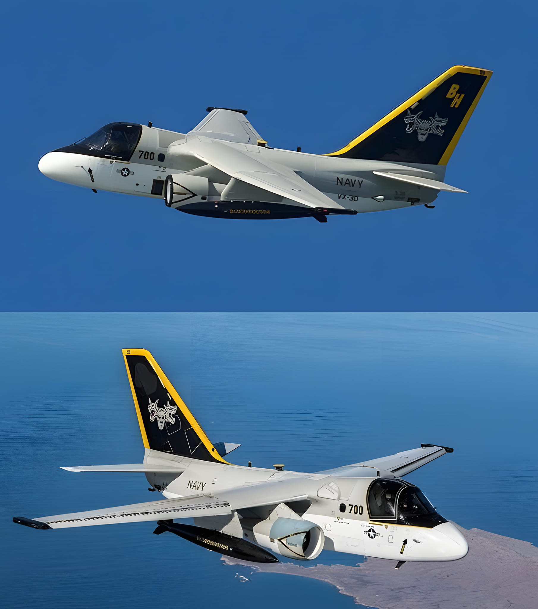 The VAQ-209 Star Warriors, a Navy Reserve electronic attacks