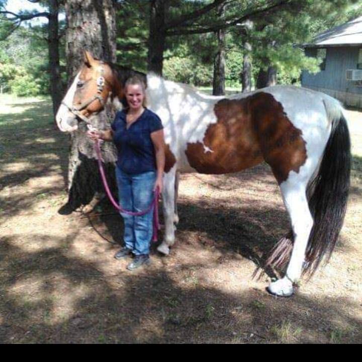 Looking for a goat feeder trough. | Facebook