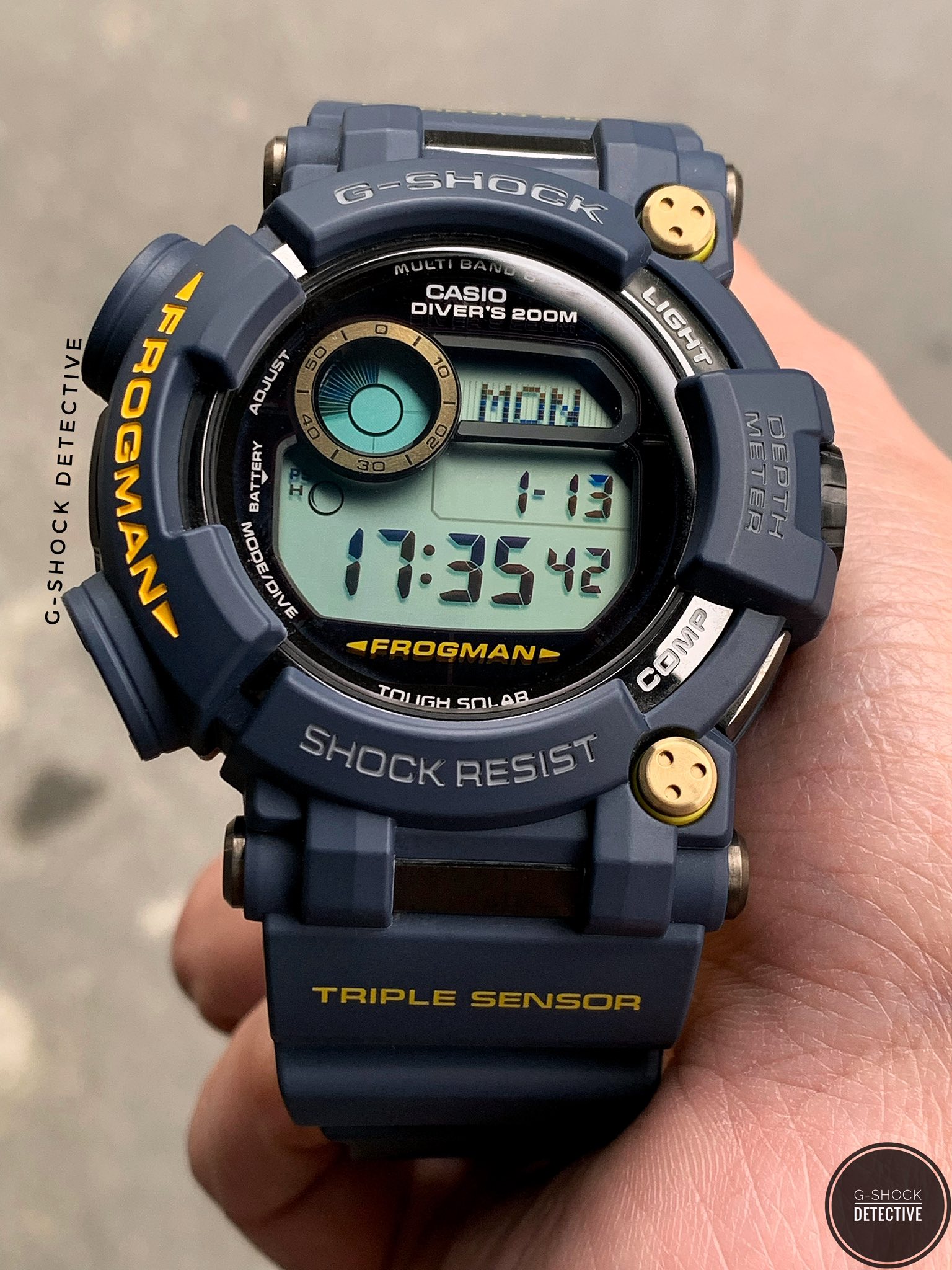 Casio Frogman DW-9900-8 watch features