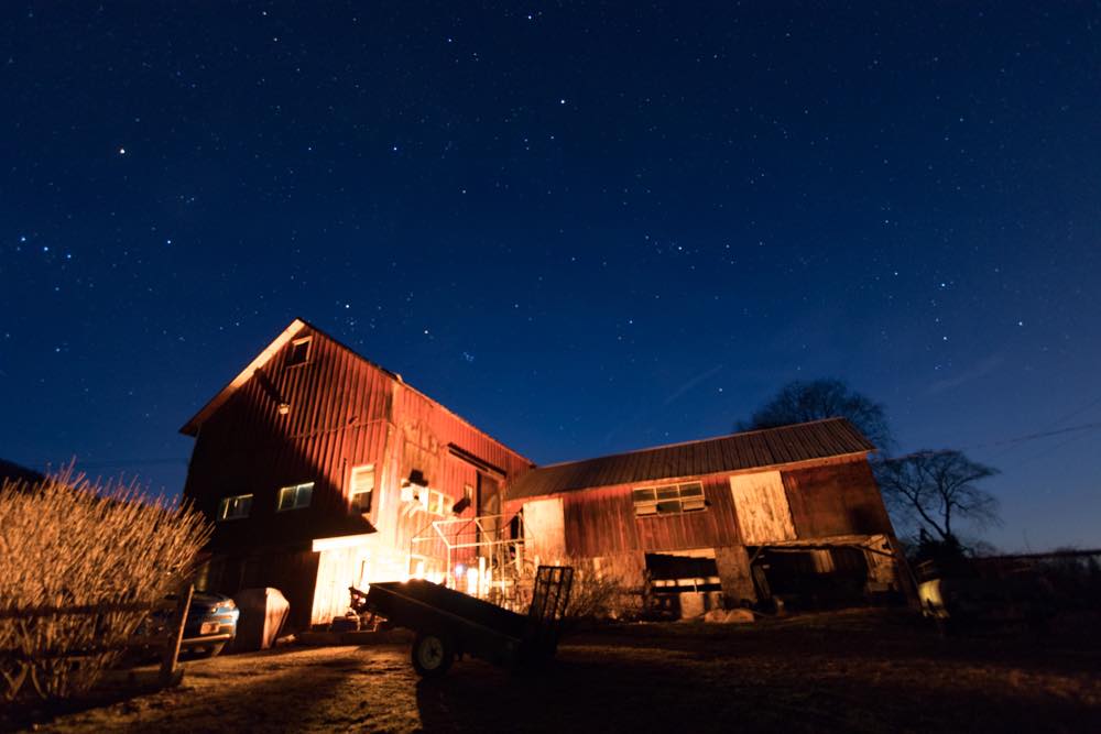 Rasmussen Photography