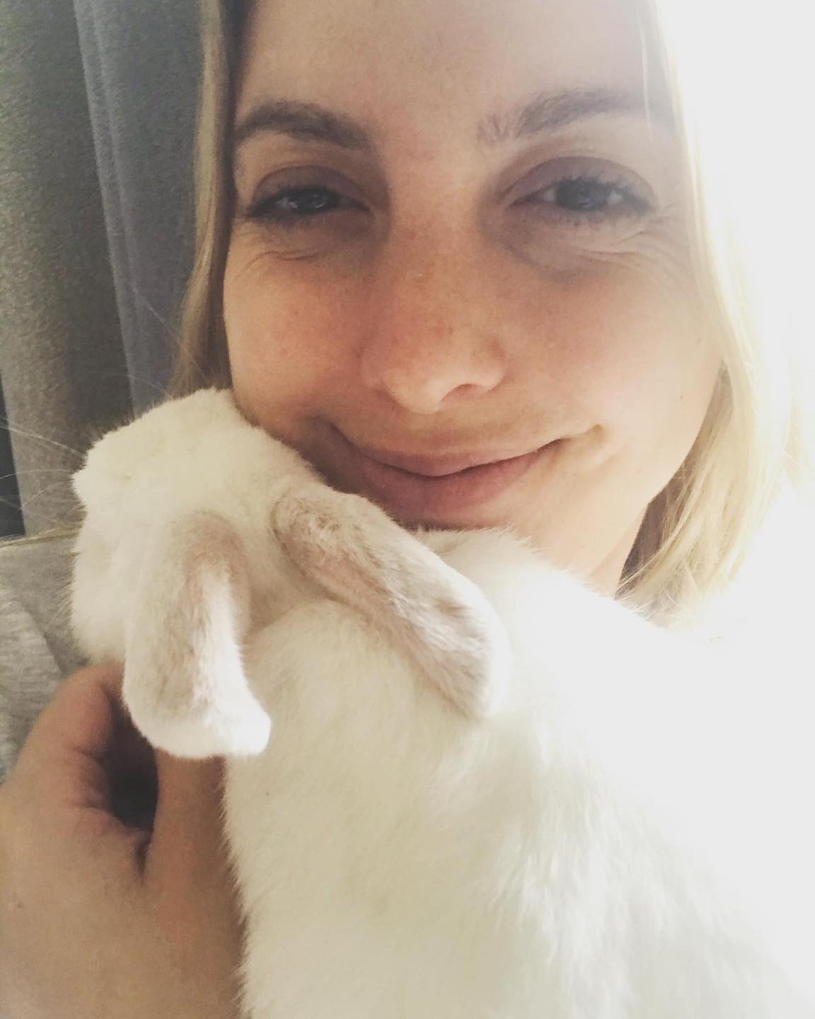 🖤 ️🤍ADOPTION ANNOUNCEMENT 🤍 ️🖤... - Romeo's Rabbit Rescue