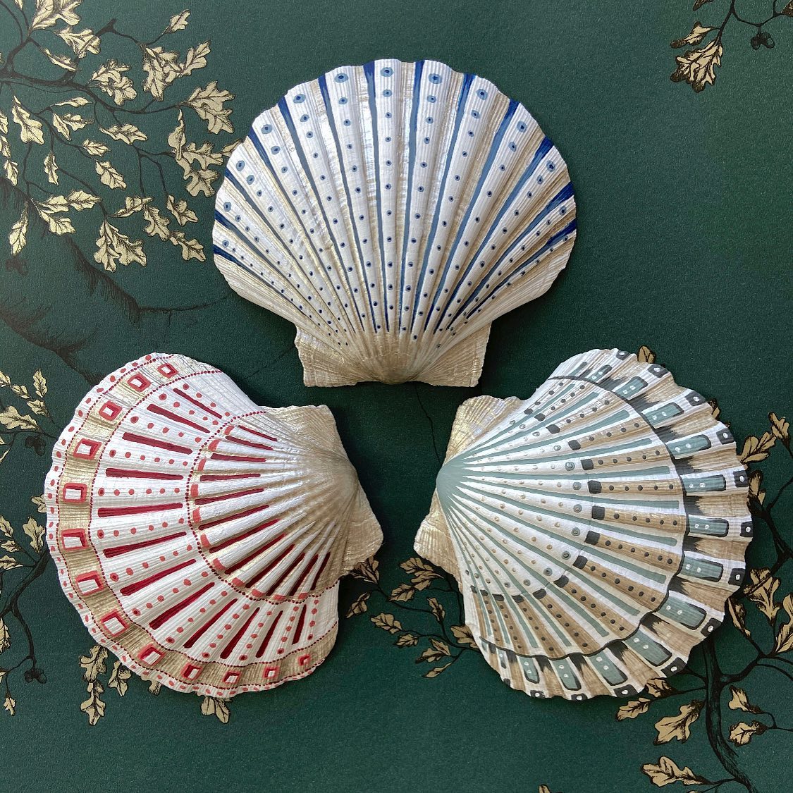 SARAHK - How stunning are these shells which... | Facebook