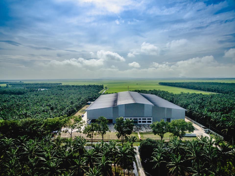 Sunflower Rice Mill | Kampung Langkap