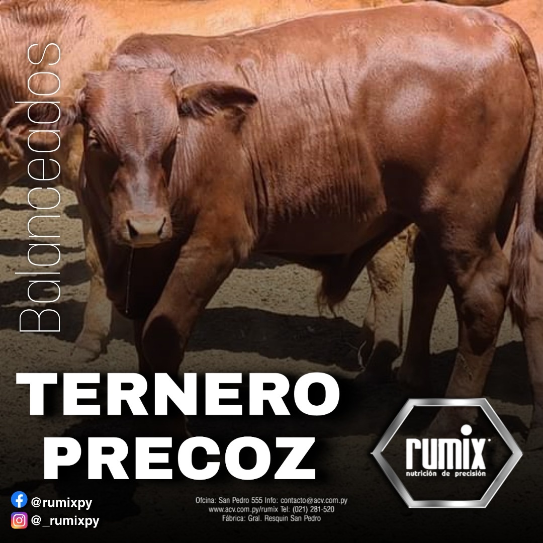 Rumix - Tu proteico energético para todo el año!! Consulta con un ...