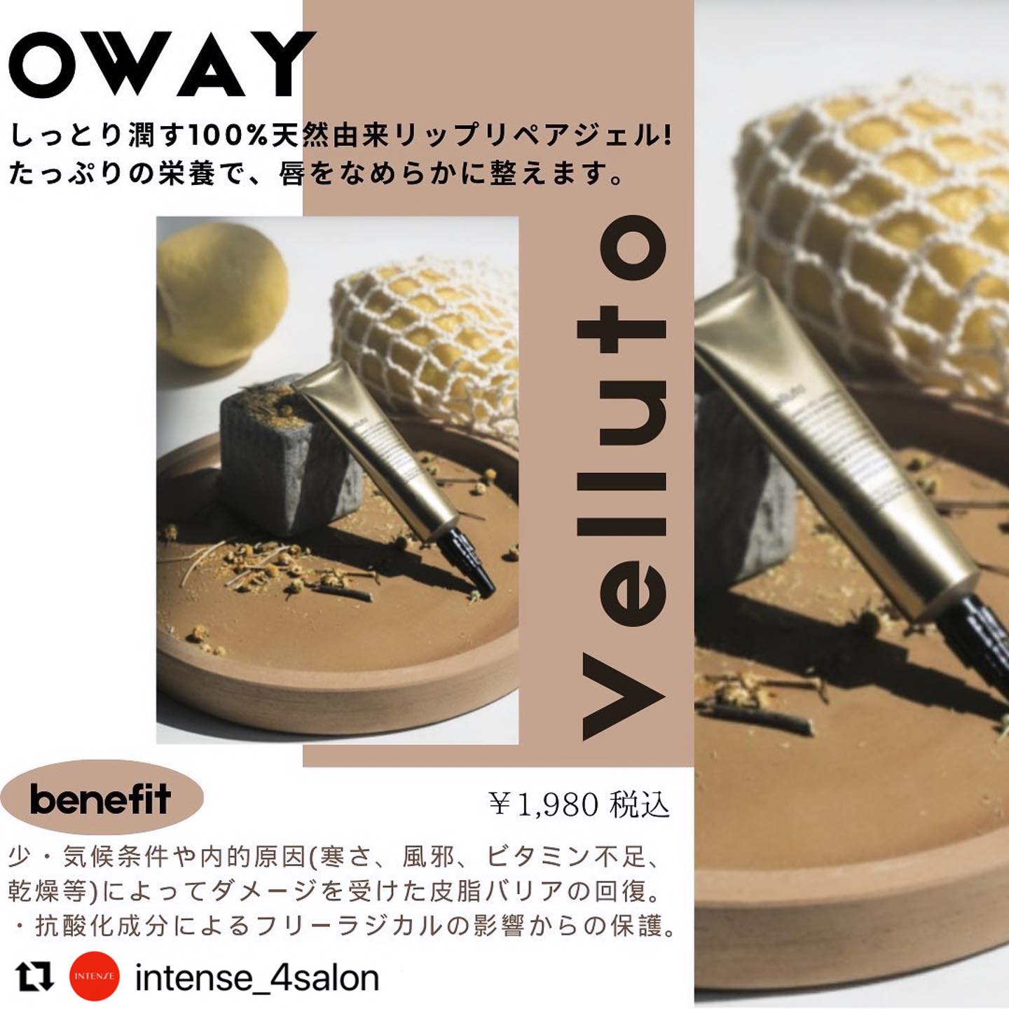 ハホニコ 酸熱トリートメント✨✨✨❗️ レブニコ80.レブリン酸80が新 