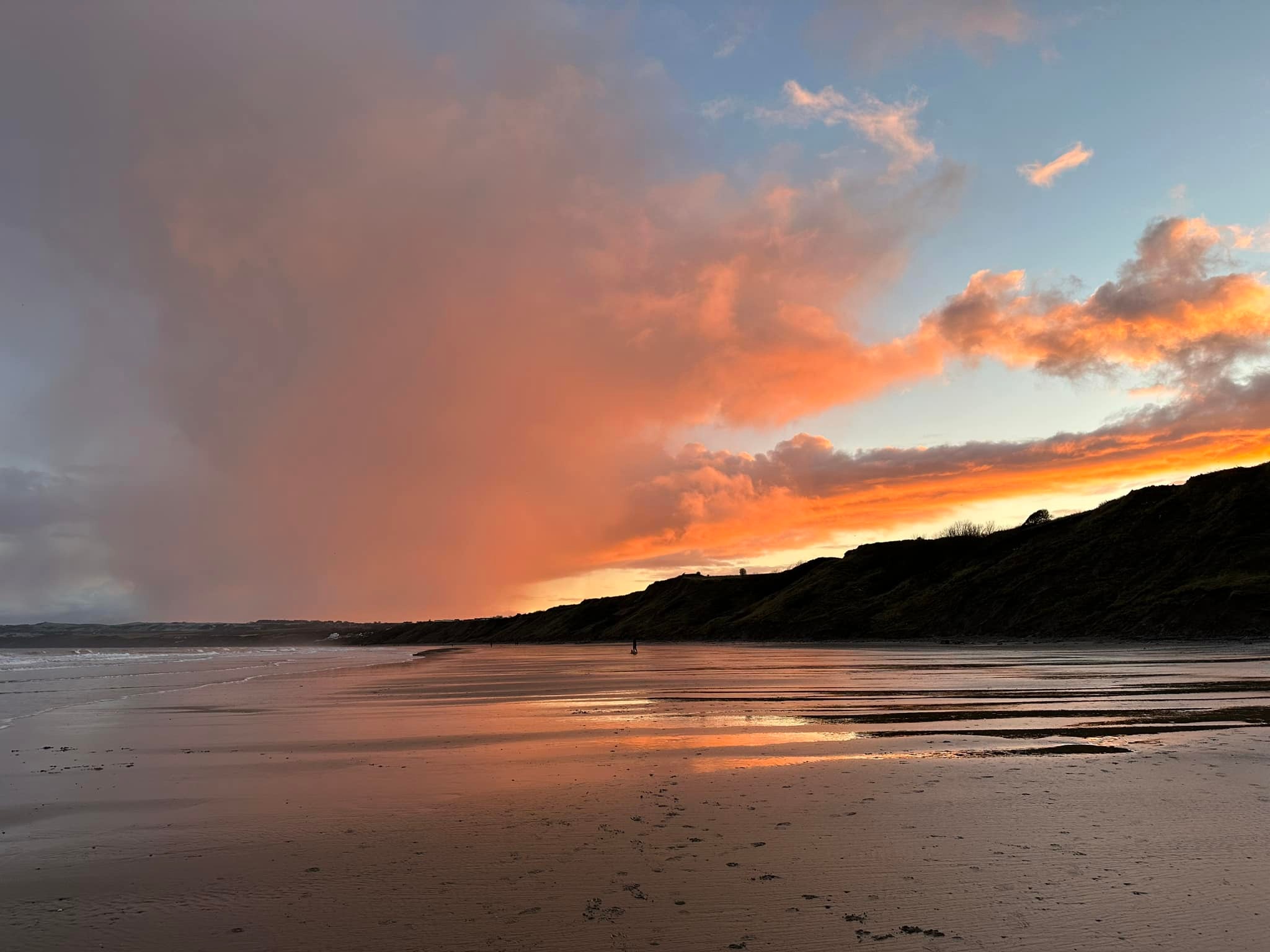 Filey Flora and Fauna