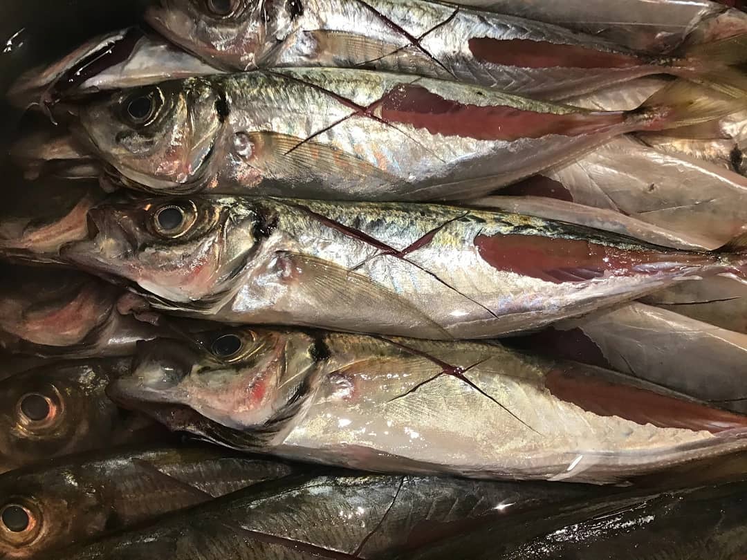 Atelier De S Cafe Tamari 陶器ギャラリー 隠れ家和菜 たまり たまりで佐渡の魚屋さんをやります 次 メニューが決まりました 土曜日 アジの塩焼き 300 マヒマヒ シイラ ムニエ 400 飛魚の酢シメのお寿司 500 ぶり照り焼き 300 黒鯛
