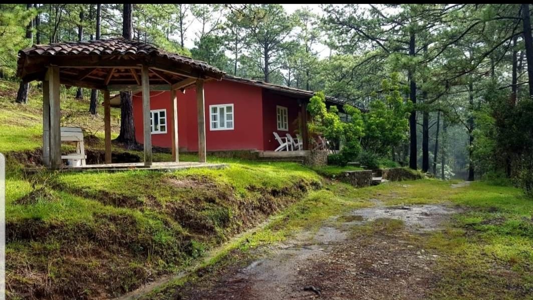 Cabañas Bosque del Llano de la Virgen | Intibucá