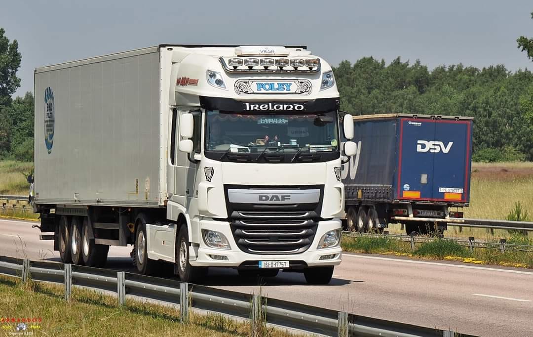 P & D Foley Transport Ltd | Wexford