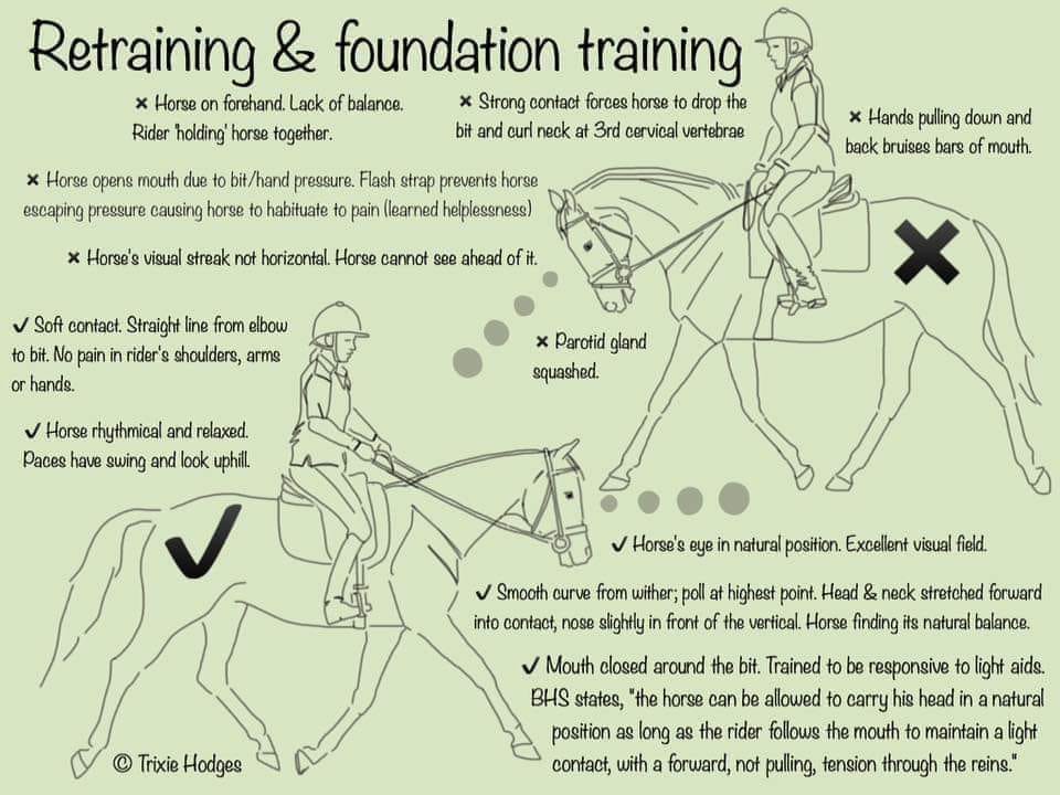 Jennifer Jones - Rider Education | Bargo NSW