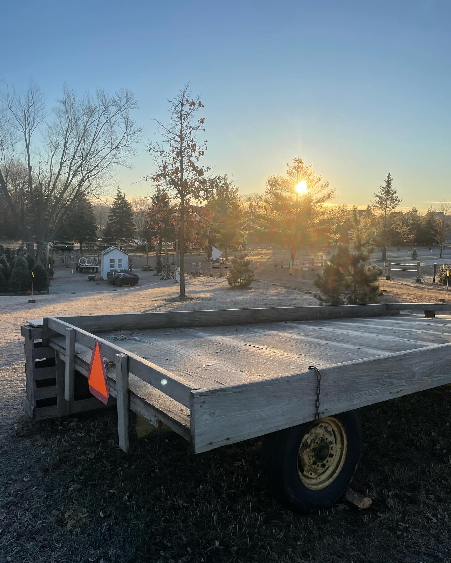 Krueger's Christmas Tree Farm | Lake Elmo MN