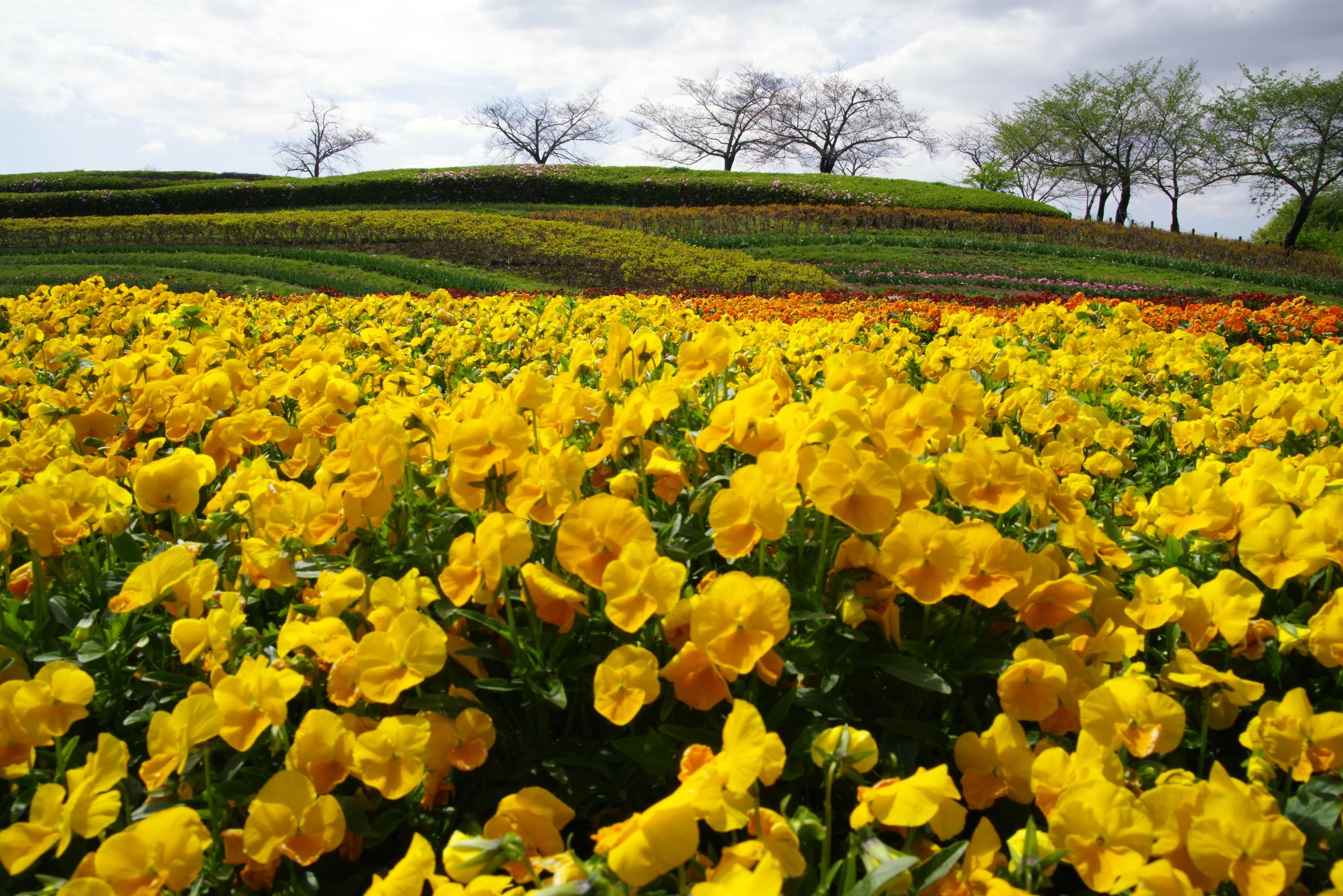 馬見 丘陵 公園 北 エリア