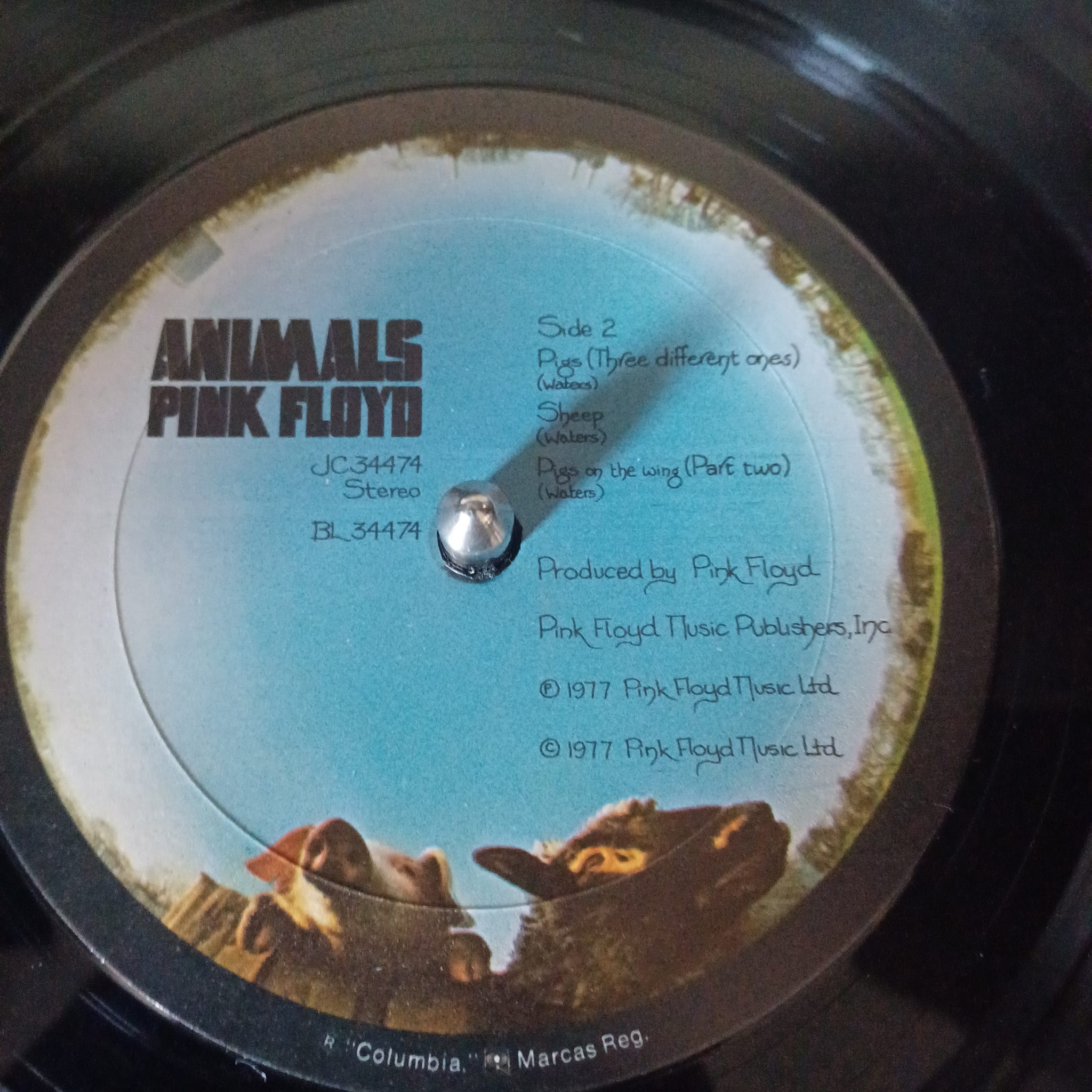 Pink Floyd 