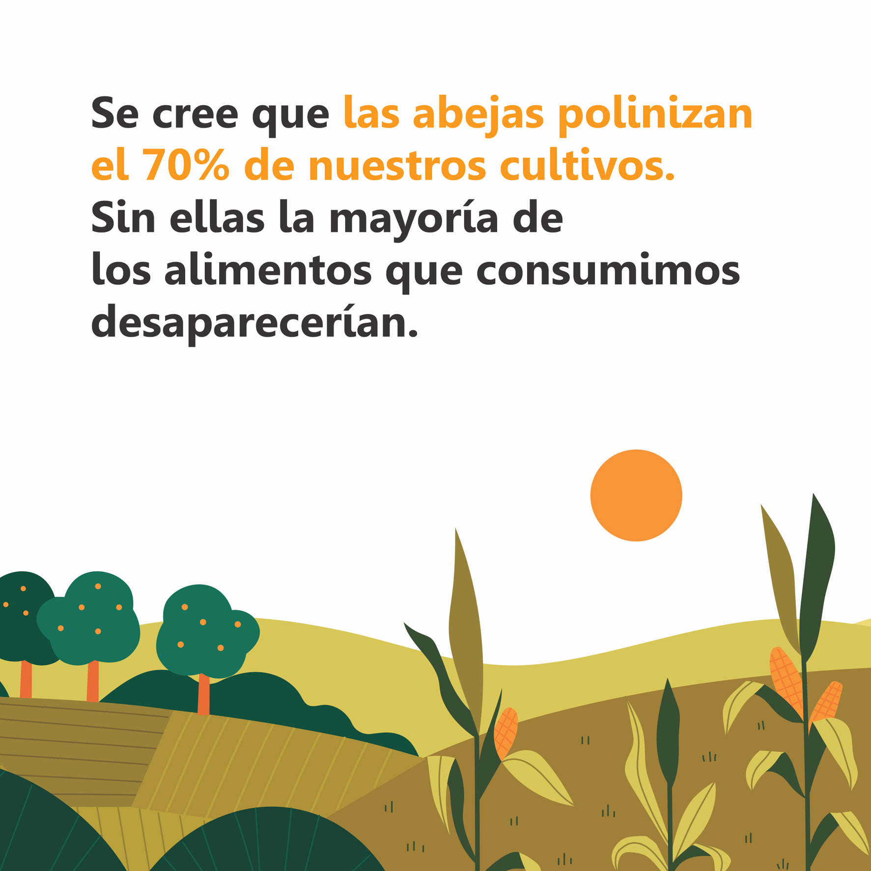 DIA MUNDIAL DE LAS ABEJAS La... - Reserva El Potrero
