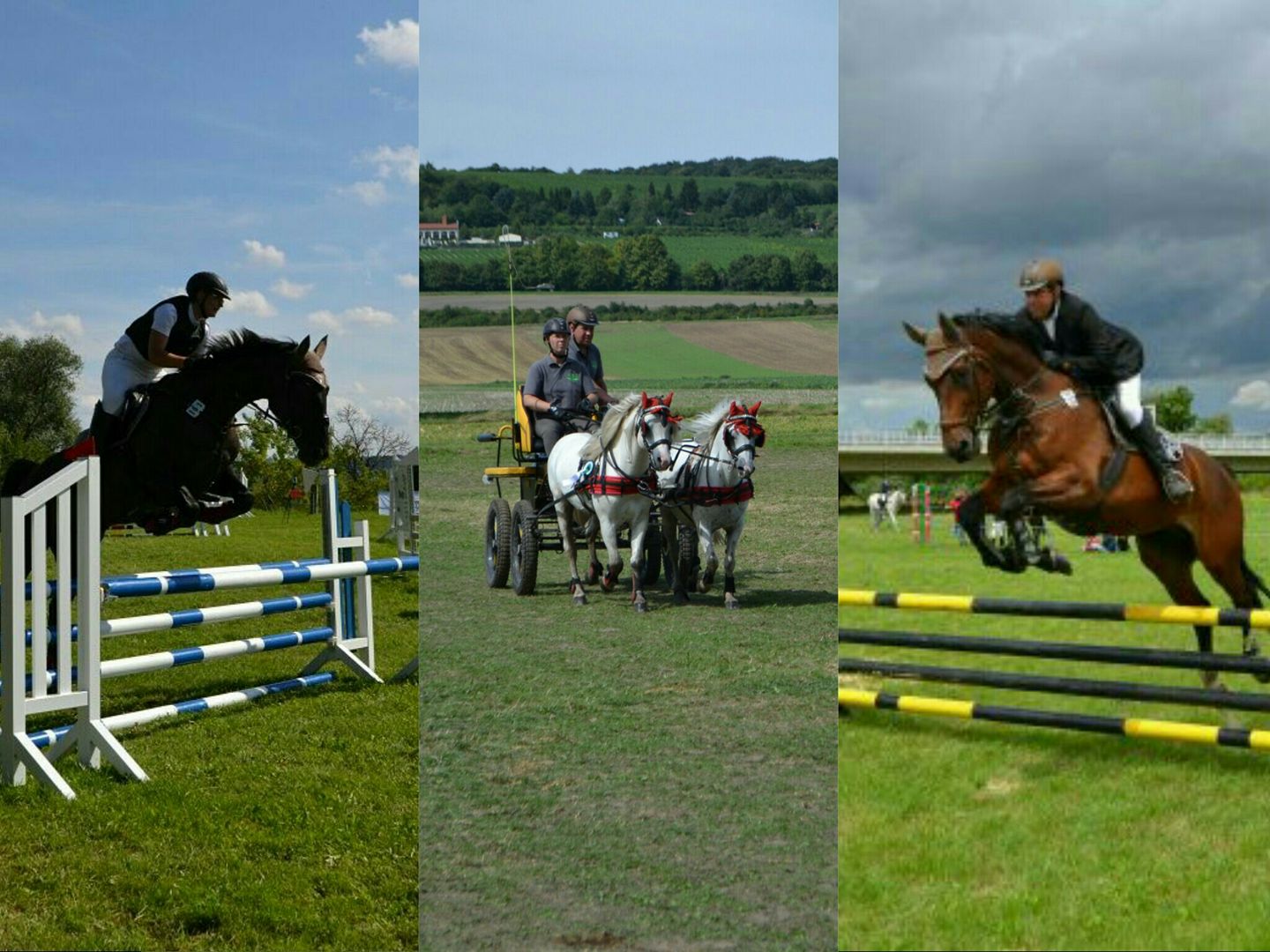 Landmarkt Pegasus ı Oppin - Unsere Reitsport-Eingangs-Ecke 😊🐎 # ...