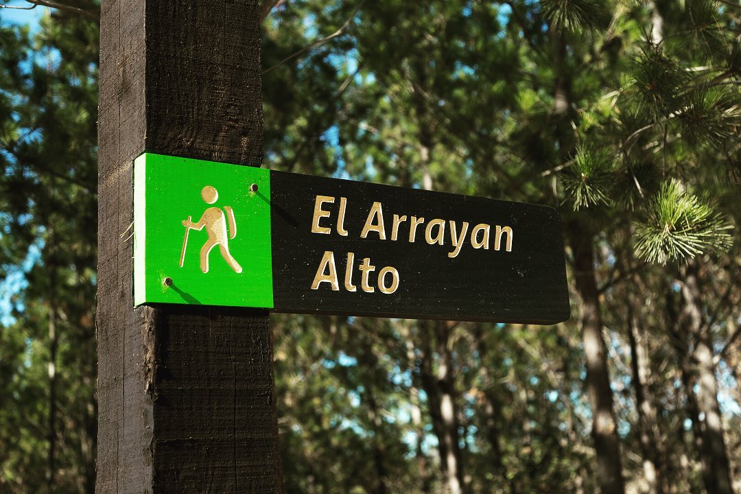 “El arrayan alto” es un sendero... - Parque Reserva El Maitén | Facebook