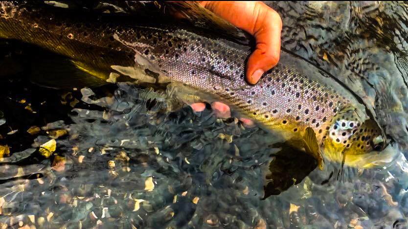 True North Anglers added a new photo. - True North Anglers