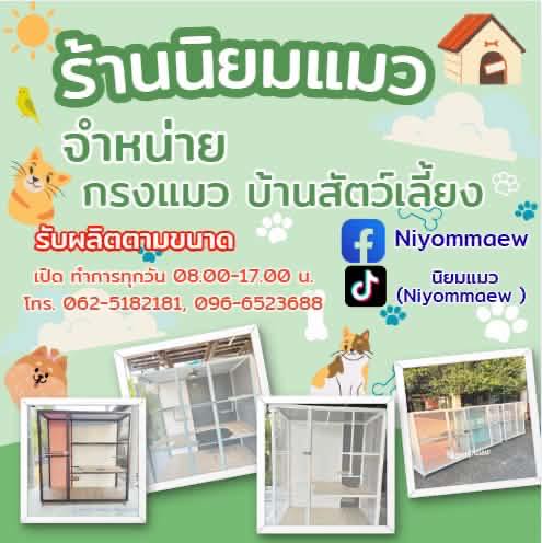 Ni Yommaew on Reels