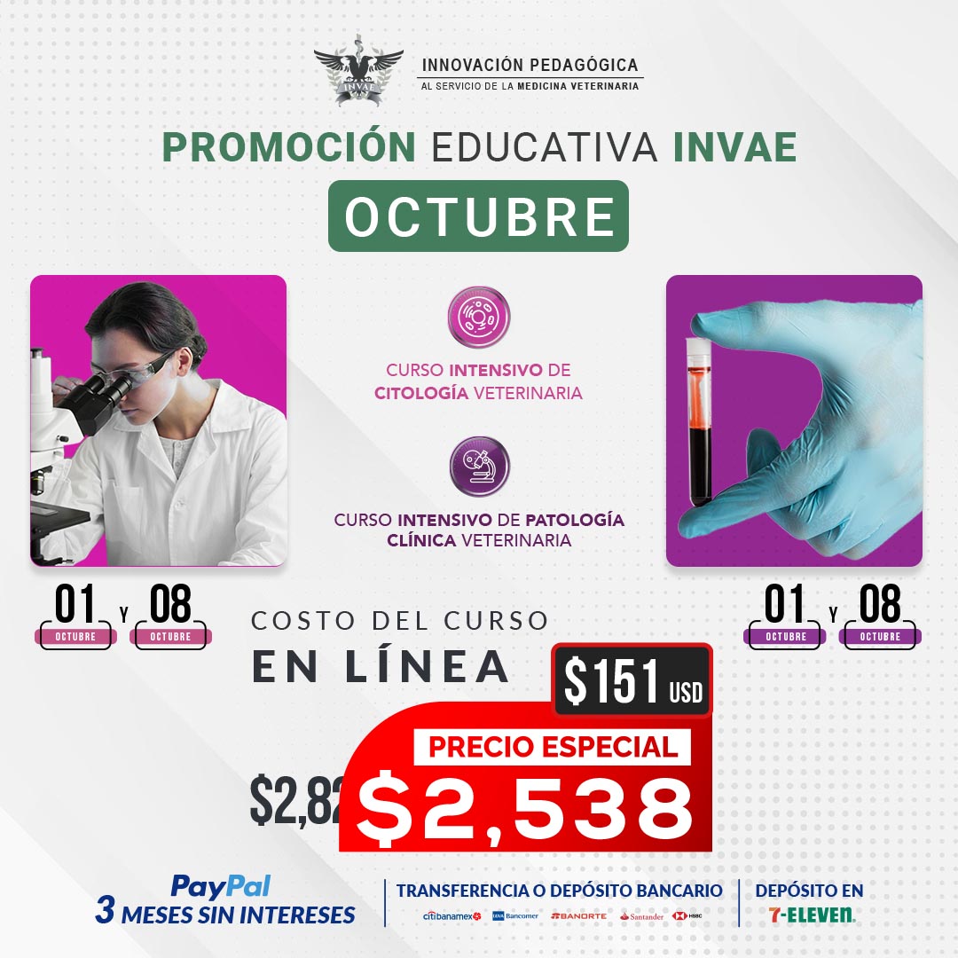 INVAE - ⭐️🎉COMBO OCTUBRE🎉⭐️ 👩‍⚕️Las mejores oportunidades son para los ...