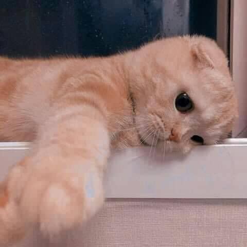 Merajuk Hgl Himpunan Gambar Lawak Facebook