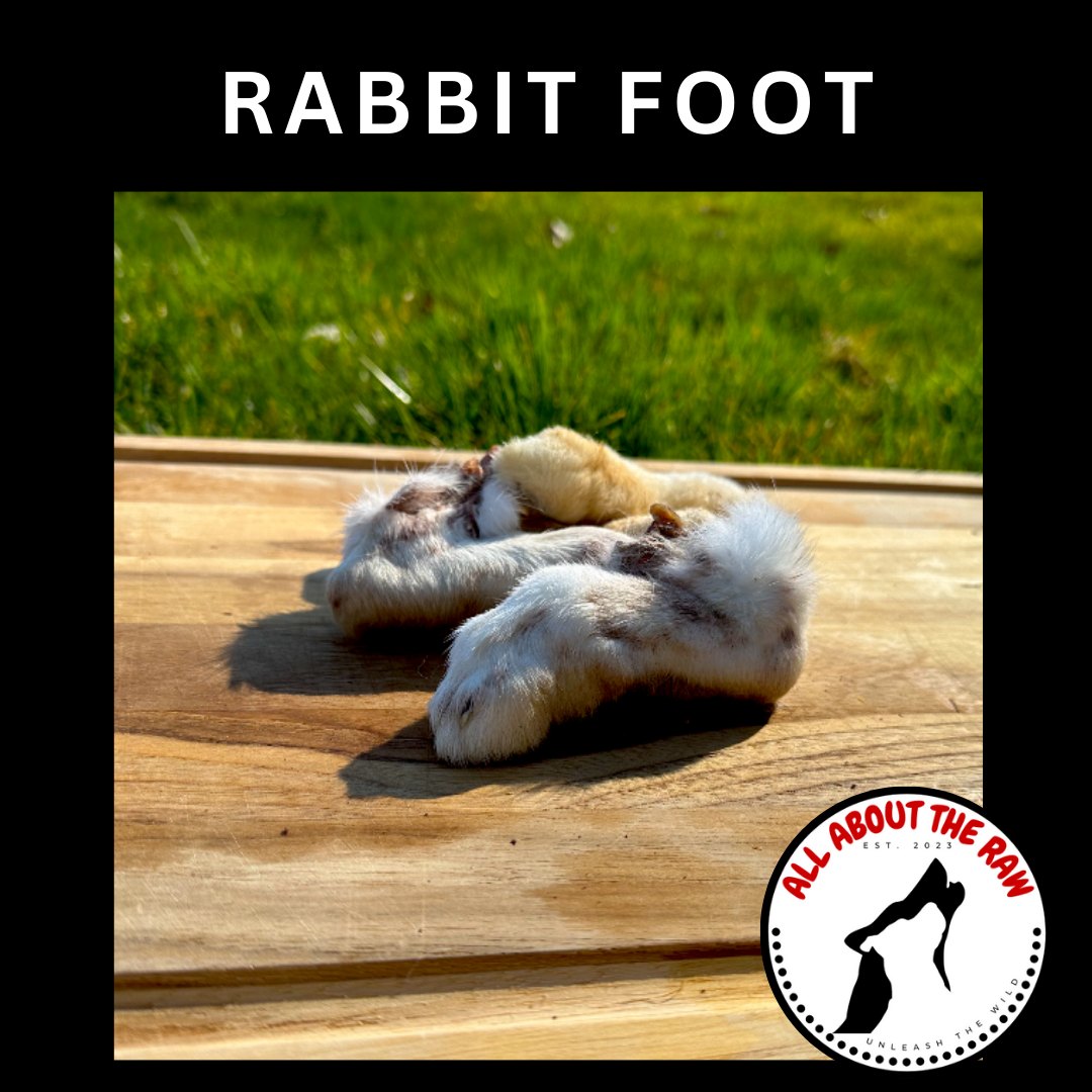 🐰🌟 Treat Highlight: Rabbit Feet! 🌟🐰 🐾... - All About The Raw