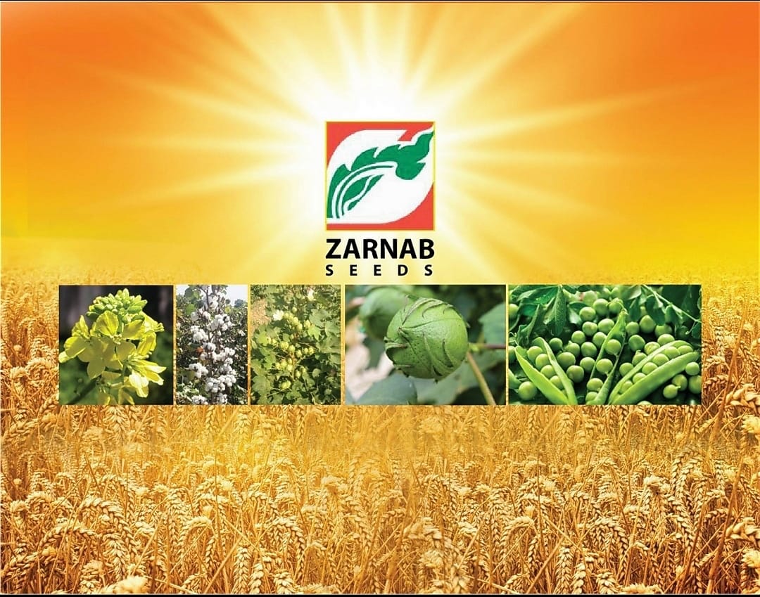 Zarnab Seeds Company | Hasilpur
