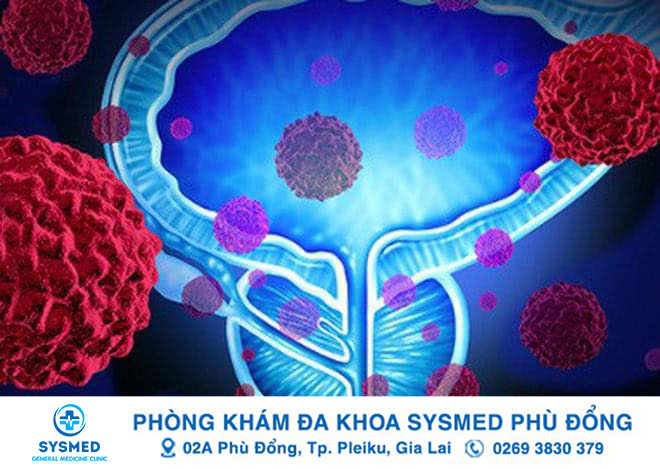 Phòng khám Đa khoa Sysmed