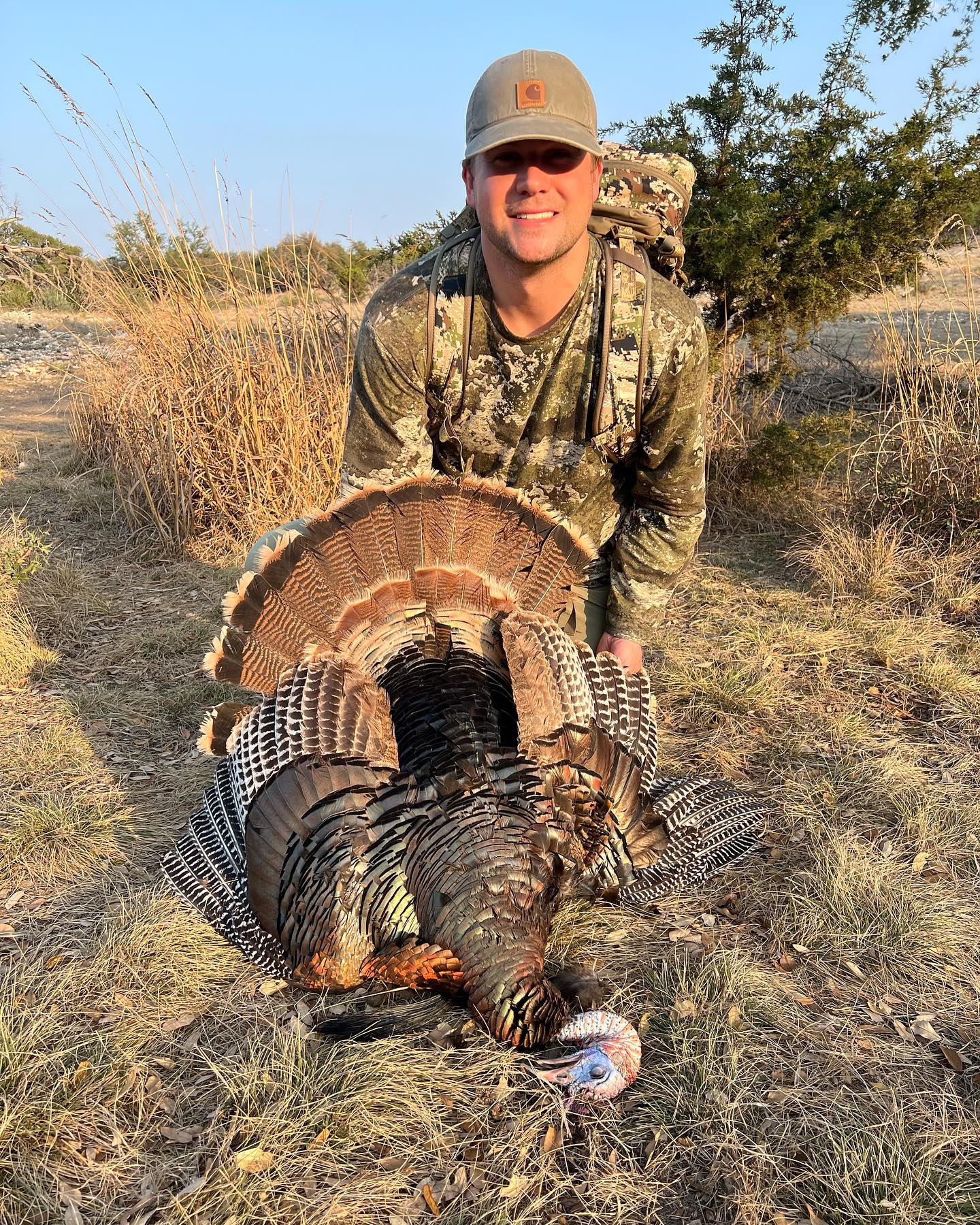 These birds won’t take long in the... - Rust Ranch Hunting | Facebook
