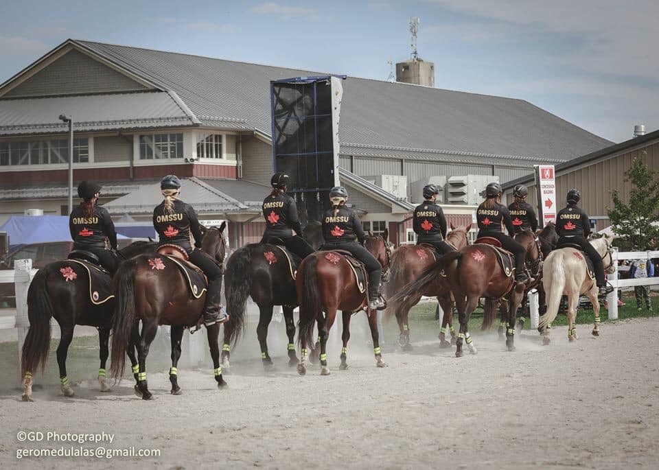 Equestrian Drill Riding