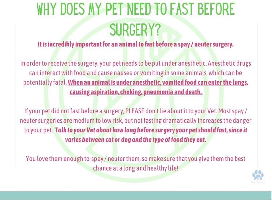 Church Hill Vet Hospital - Fasting Your Pet Of Any Food/Treats The Night Before Until After Their Surgery Is Very Important For Your Pet's Safety!❌🥕❌🍗❌🥩❌ | Facebook