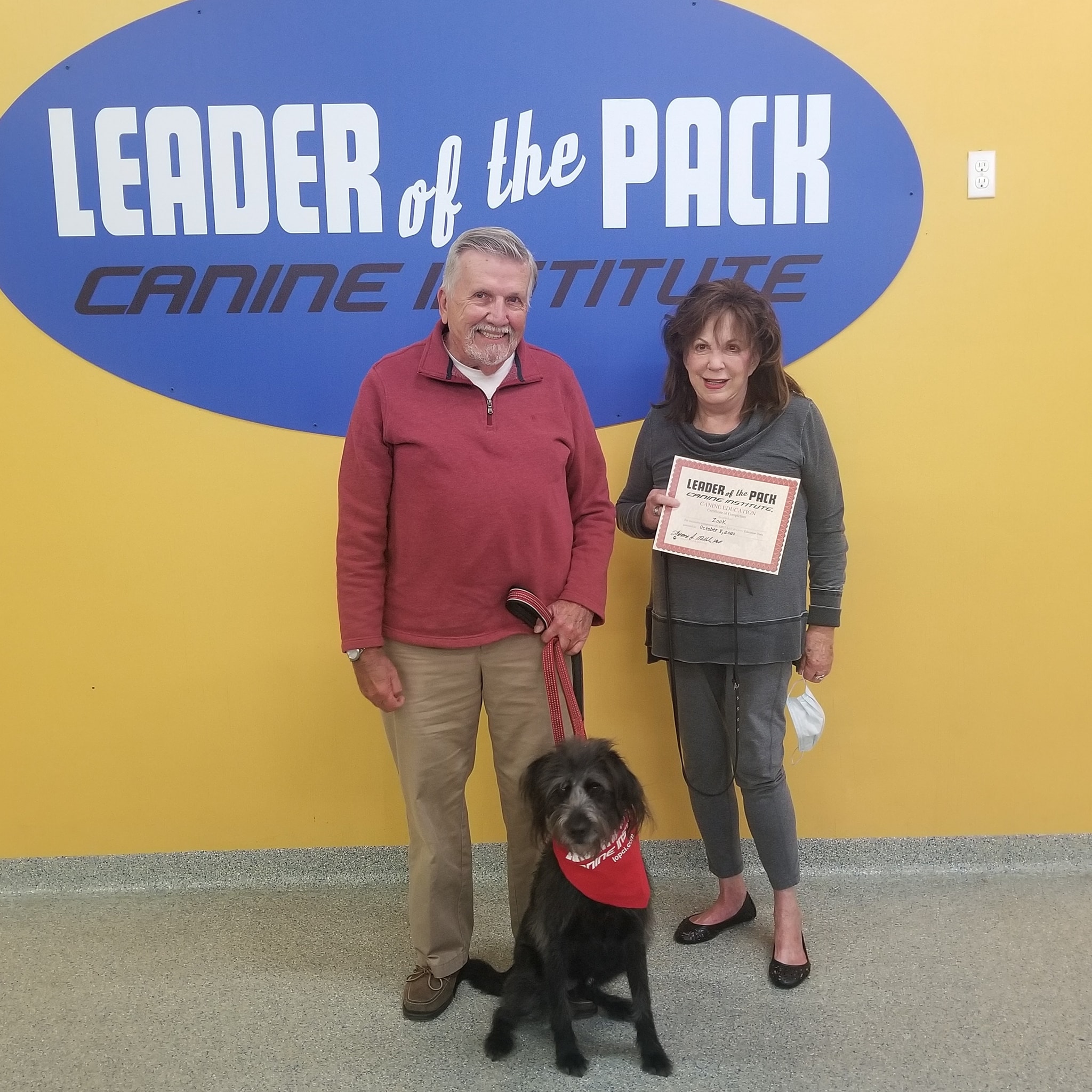 Leader of the Pack... - Leader of the Pack Canine Institute