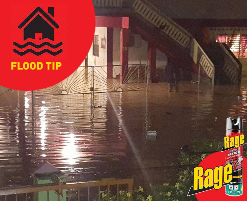 RageInsecticide - The rains are here - you can expect to... | Facebook