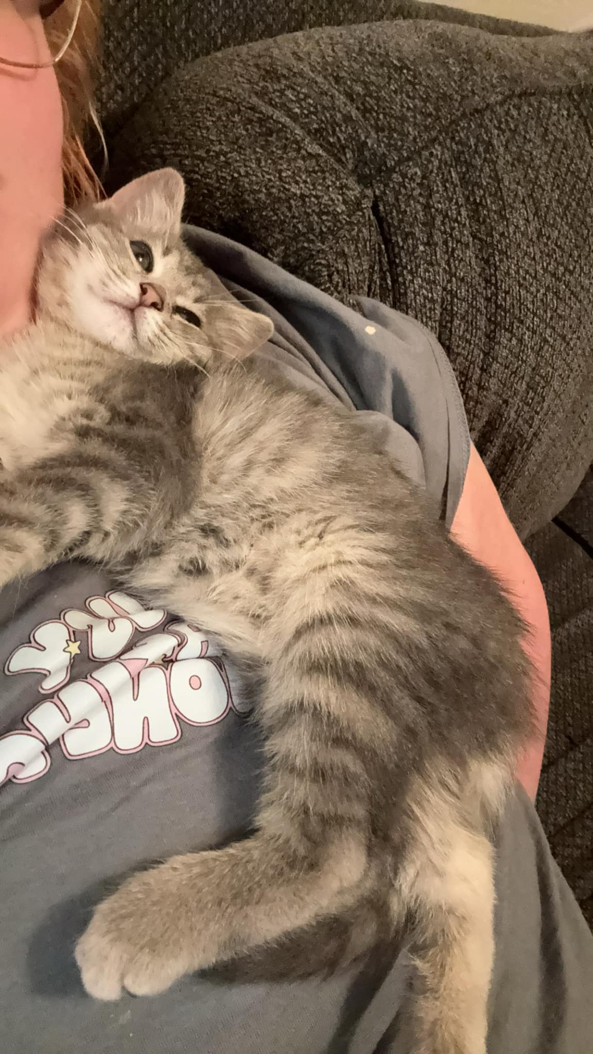 Update  She is a HE and his name is Otis ❤️ 