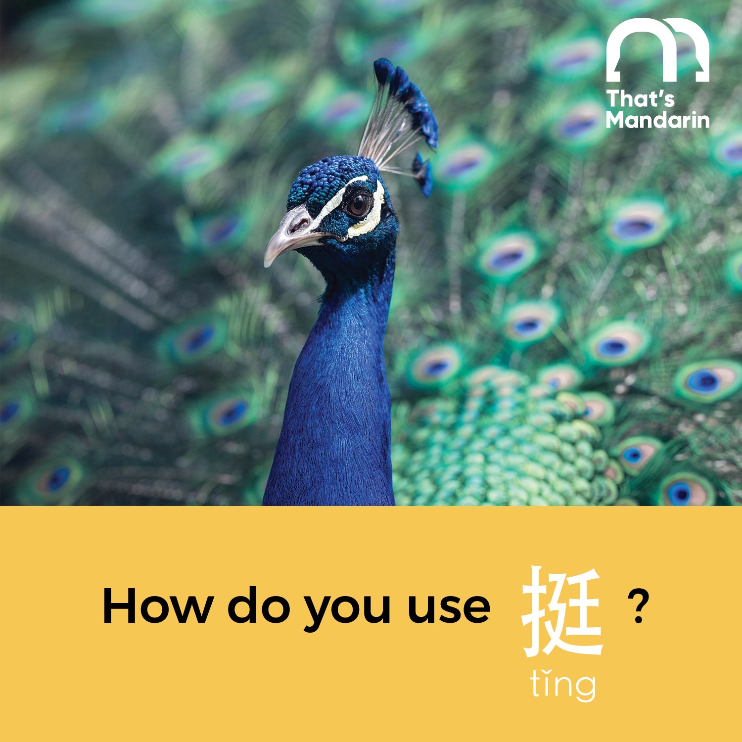 That's Mandarin: Study Chinese in China - Another grammar post for you ...