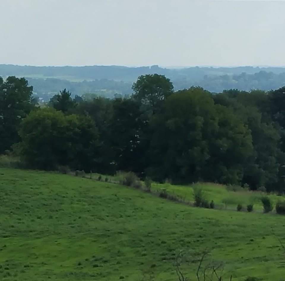 Black Gnat Ridge Farm