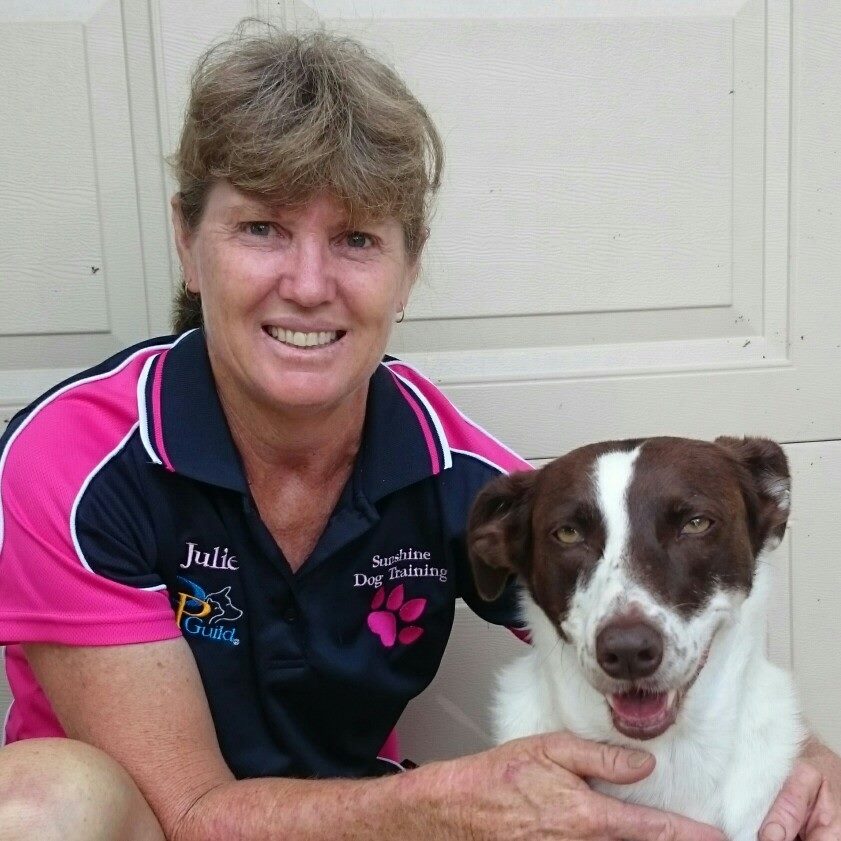 Ruff Mutts Dog Training - Molly | Facebook