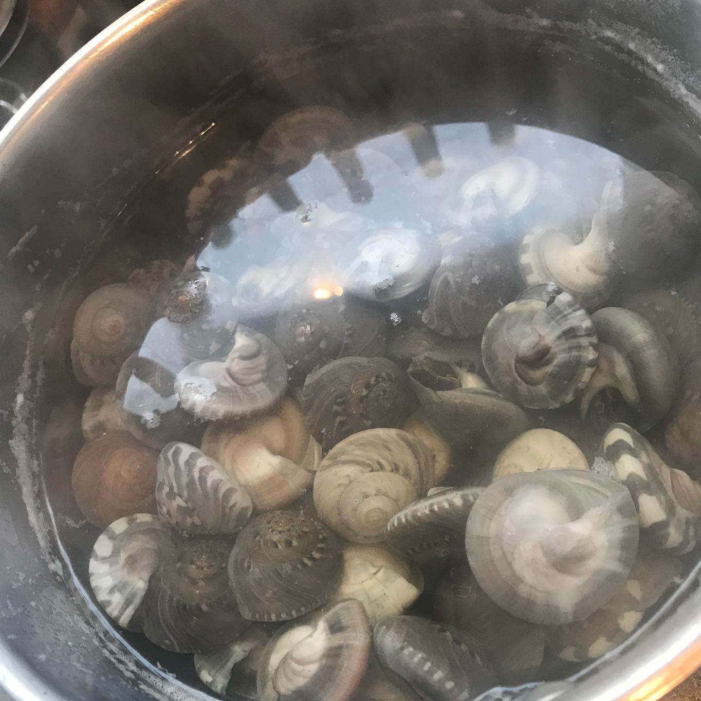 La Cuna Del Vino 久々にながらみ 茹で上がりました 千葉産のものですが ながらみは静岡でもよく食べますよね Lacunadelvino ラクーナデルヴィーノ 東中野 ワインに合うおつまみ ながらみ塩茹で 静岡推し Facebook