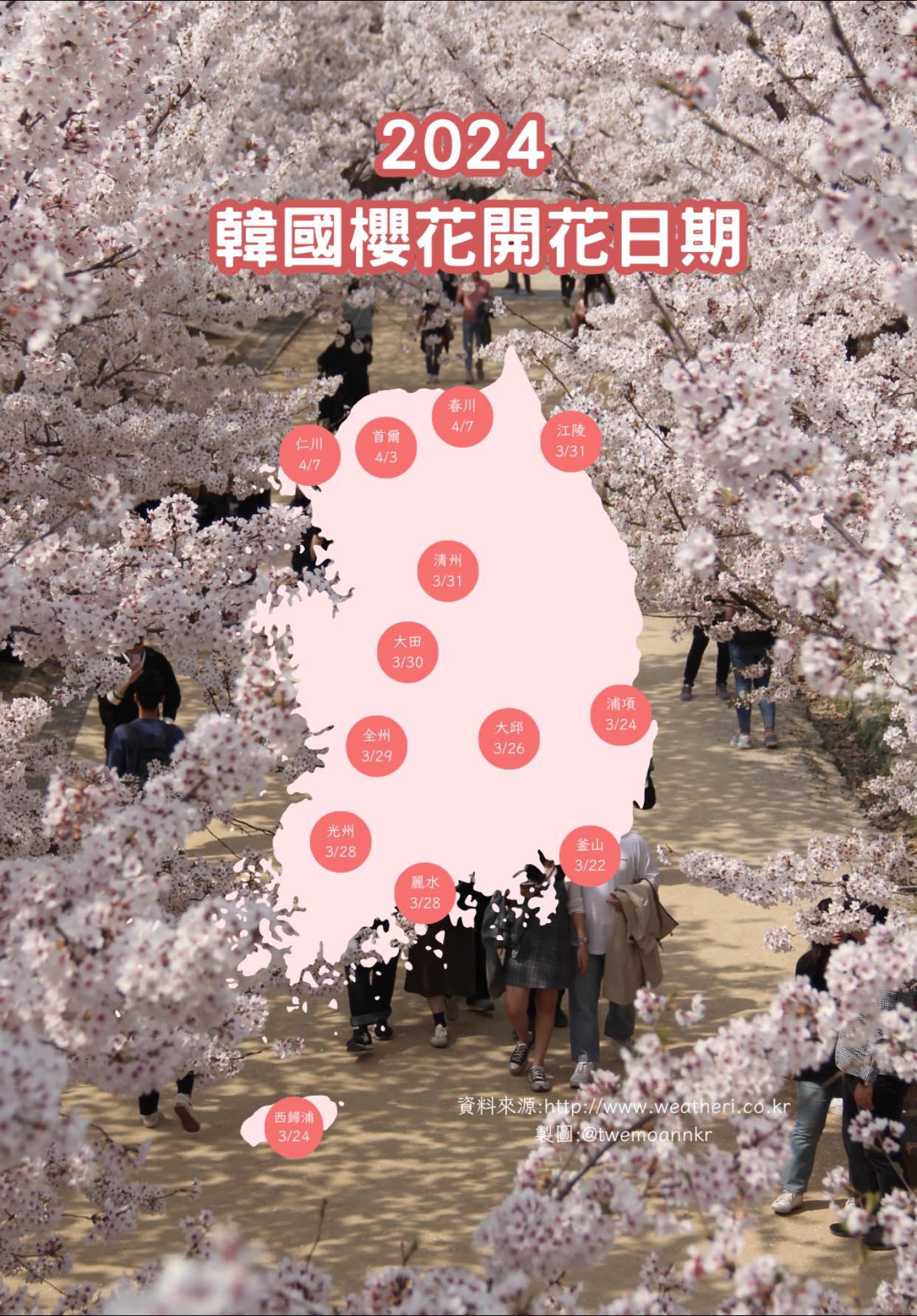 [2024 韓國櫻花開花日期]... - 台灣安姨的韓國安居日常 대만 이모앤의 한국 life