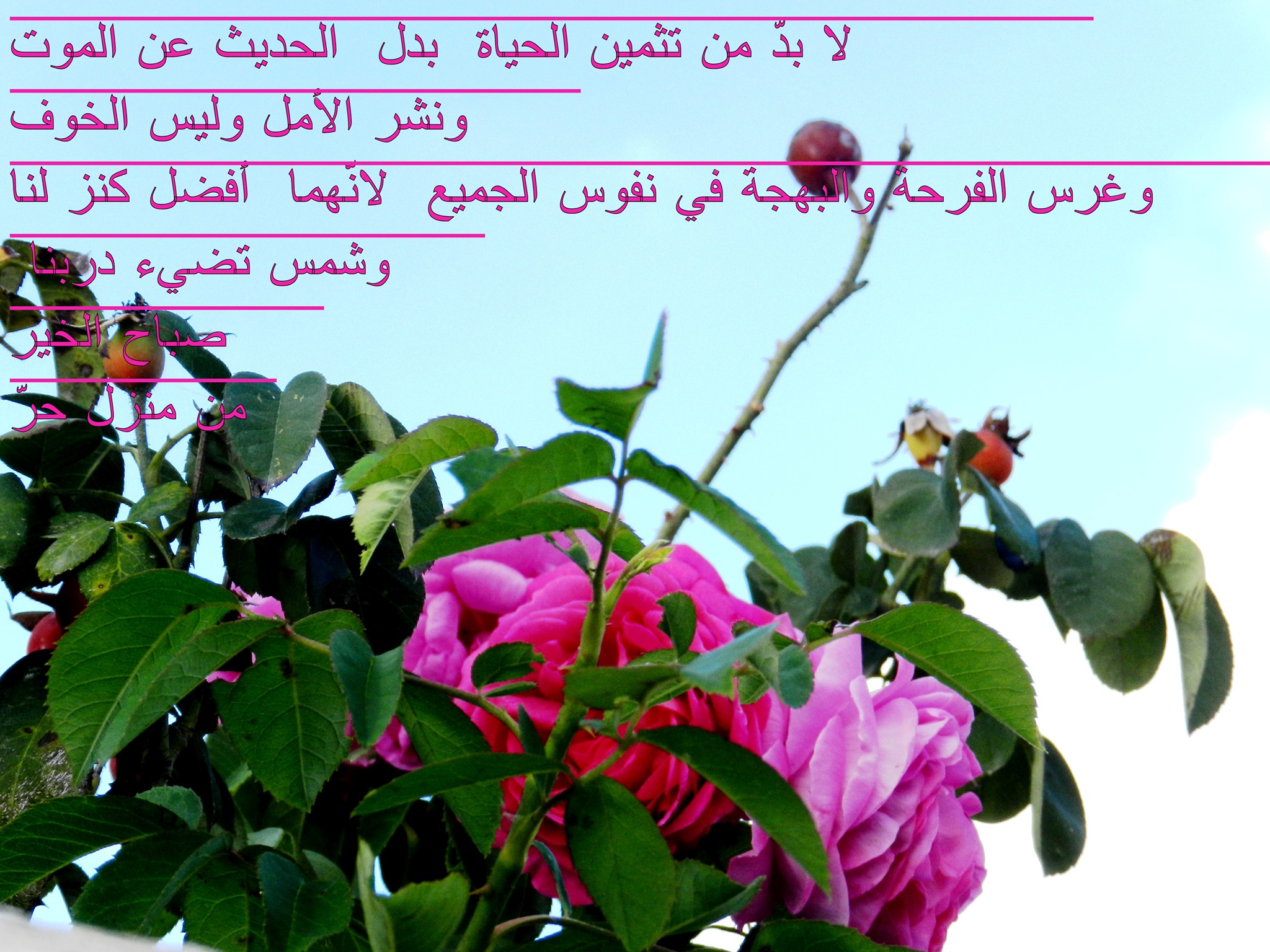 كث... - Menzel Horr, Histoire, Produits agricoles, Traditions.