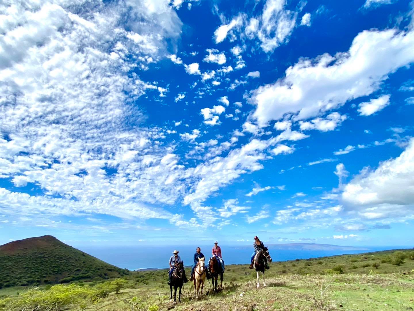The absolute best... - Triple L Ranch Maui Horseback Riding
