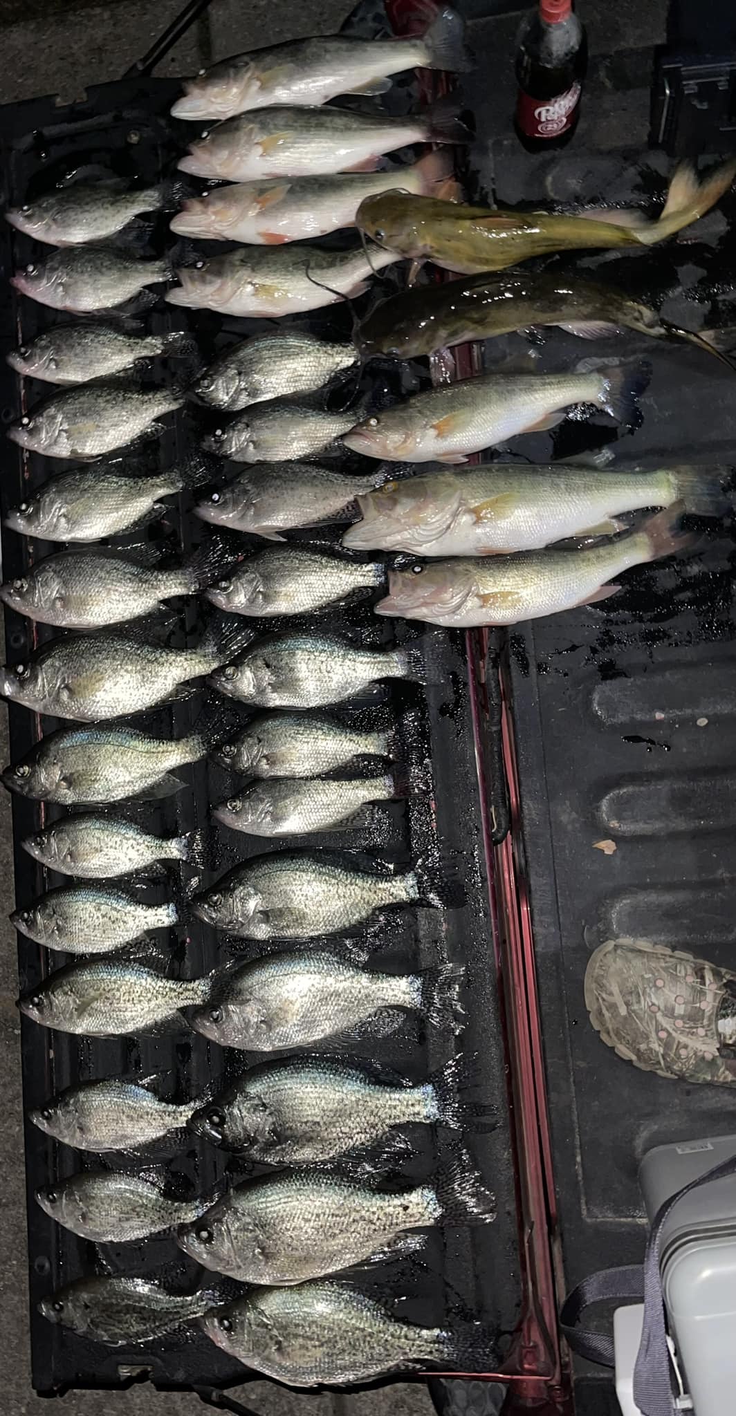 baitcasting lews fishing reels Lew's Accel Baitcast Combo Size:6'6 Medium Heavy Right Hand Blue 2020 To enhance functionality I just purchased this